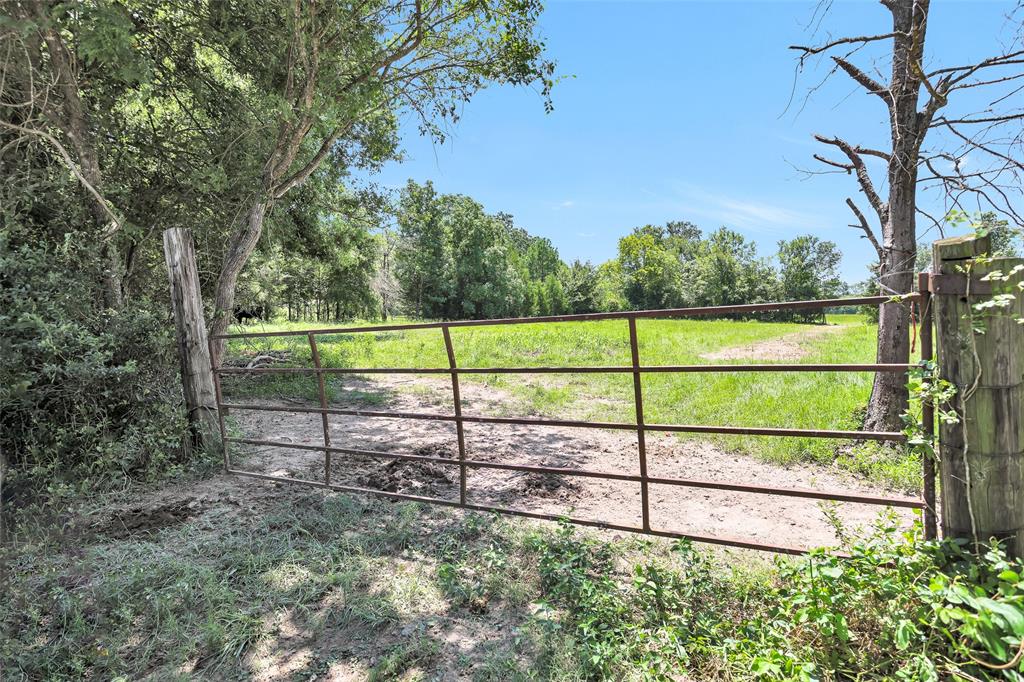 TBD Countyline Road , Kennard, Texas image 14