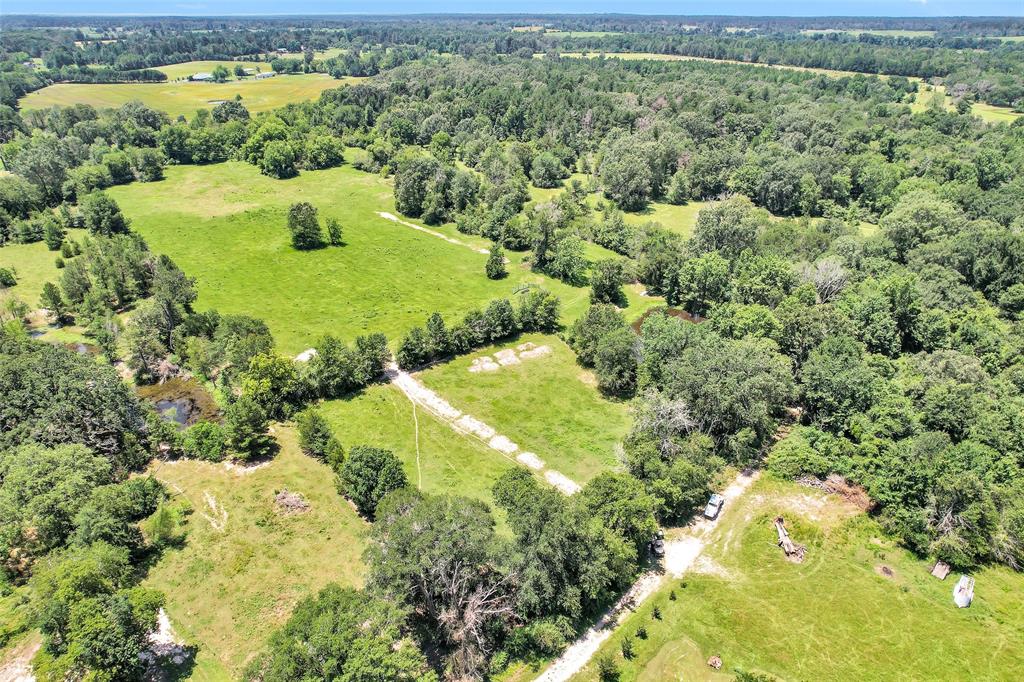 TBD Countyline Road , Kennard, Texas image 19