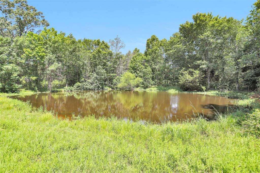 TBD Countyline Road , Kennard, Texas image 4