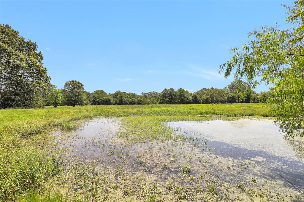 TBD Countyline Road , Kennard, Texas image 8