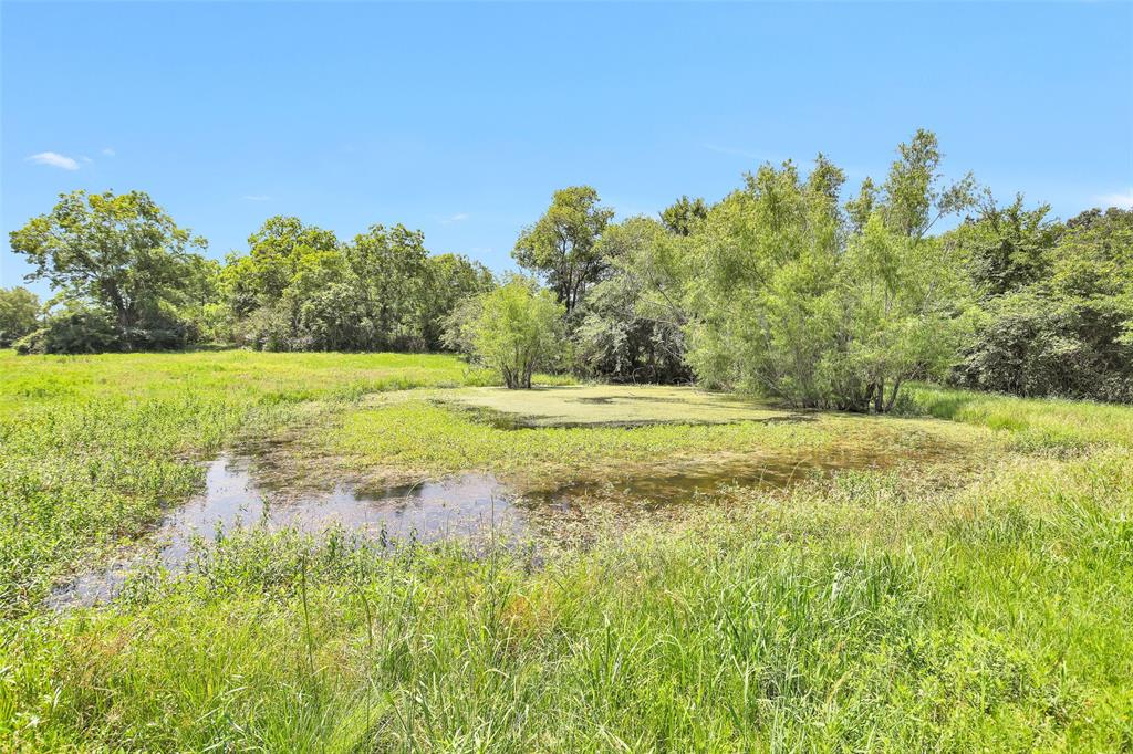 TBD Countyline Road , Kennard, Texas image 9