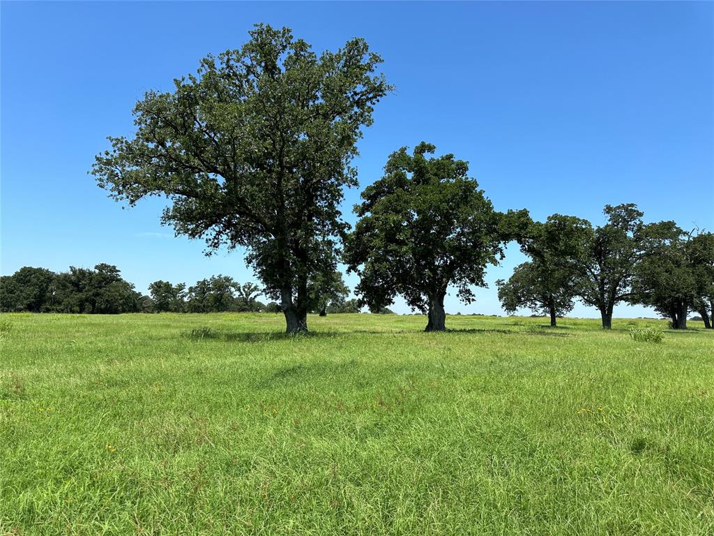 TBD #1 Fm 2547  , Fairfield, Texas image 8