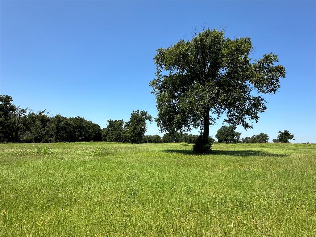 TBD #1 Fm 2547  , Fairfield, Texas image 9