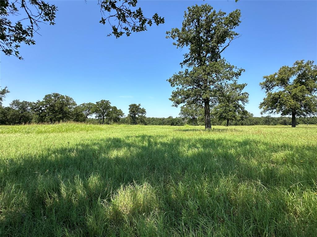 TBD #2 Fm 2547  , Fairfield, Texas image 11