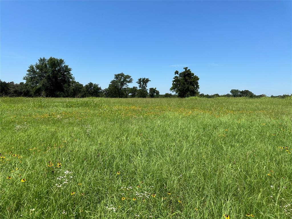 TBD #2 Fm 2547  , Fairfield, Texas image 14