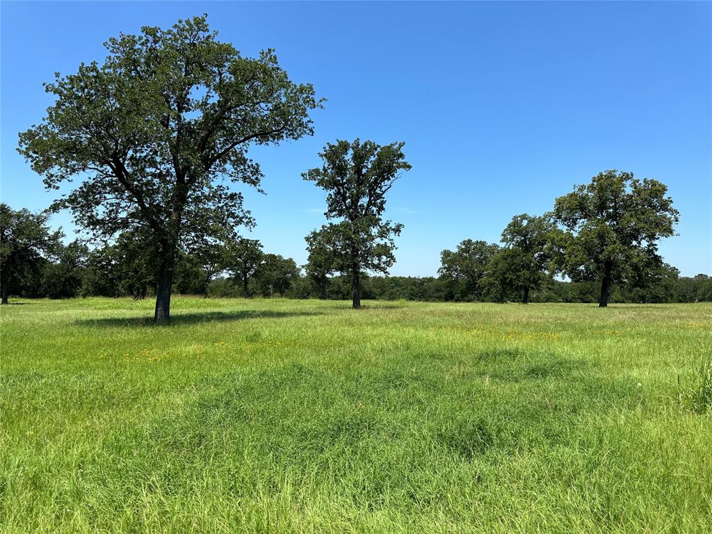 TBD #2 Fm 2547  , Fairfield, Texas image 15