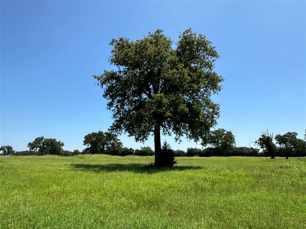 TBD #2 Fm 2547  , Fairfield, Texas image 7