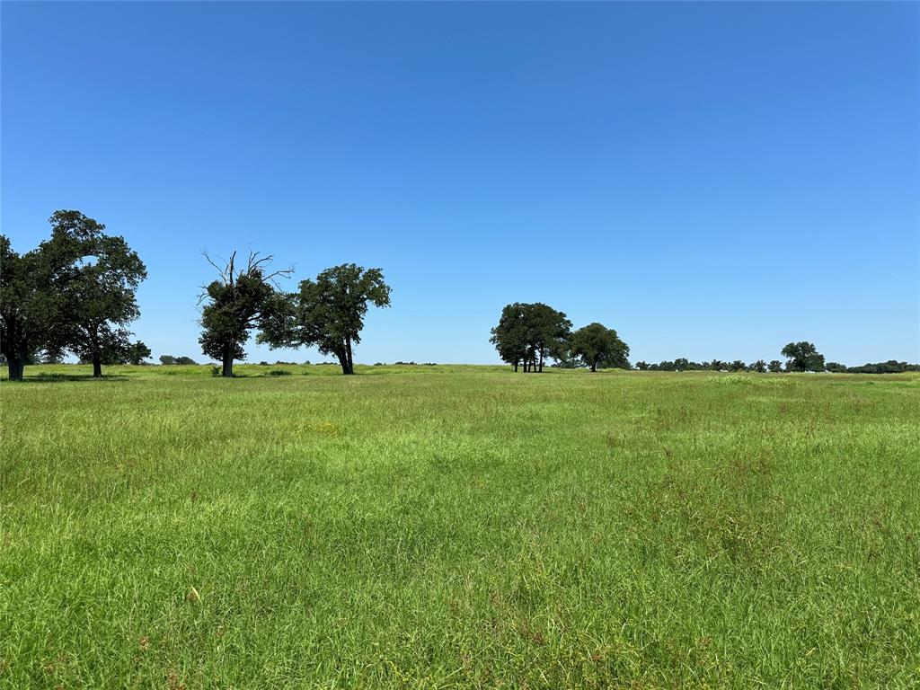 TBD #2 Fm 2547  , Fairfield, Texas image 8