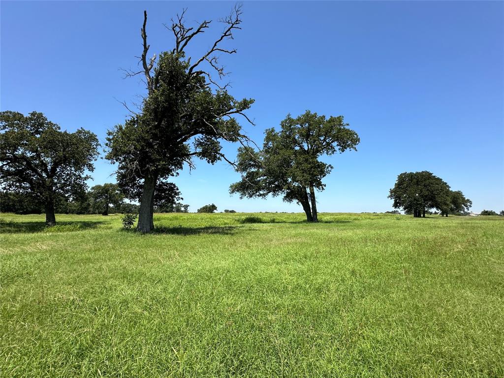 TBD #2 Fm 2547  , Fairfield, Texas image 9