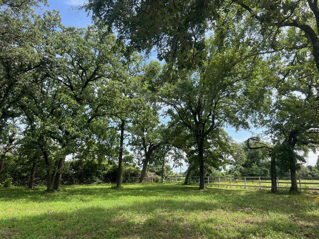 3006 Cr 204  , Centerville, Texas image 18