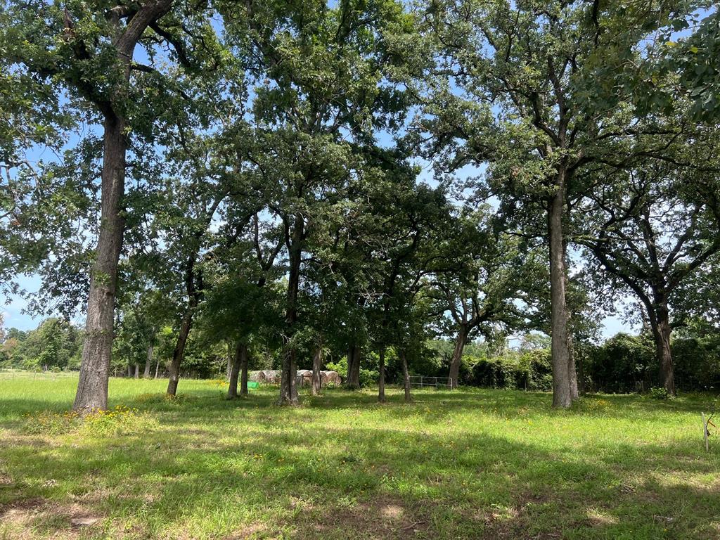 3006 Cr 204  , Centerville, Texas image 21