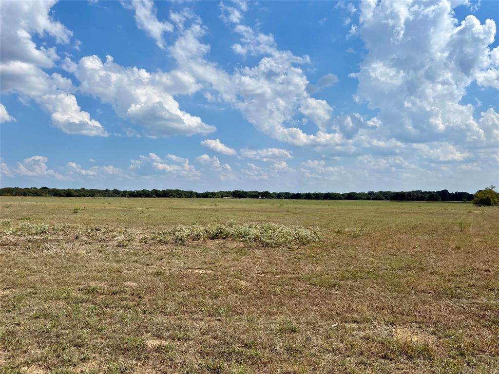 Tract 2 County Rd 249  , Kosse, Texas image 6