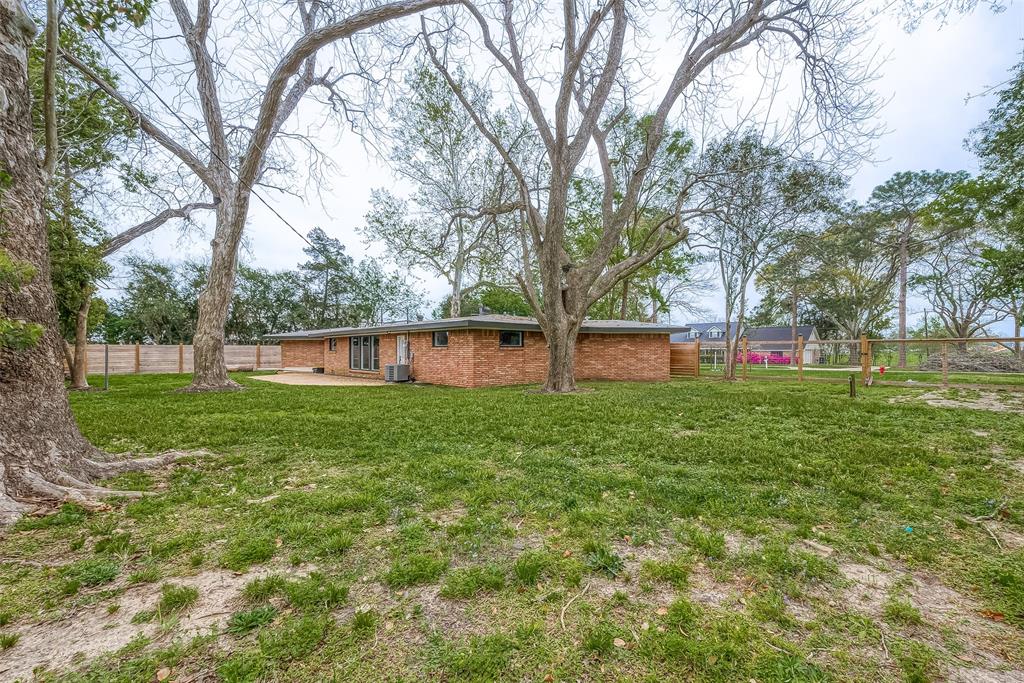 Spacious Backyard