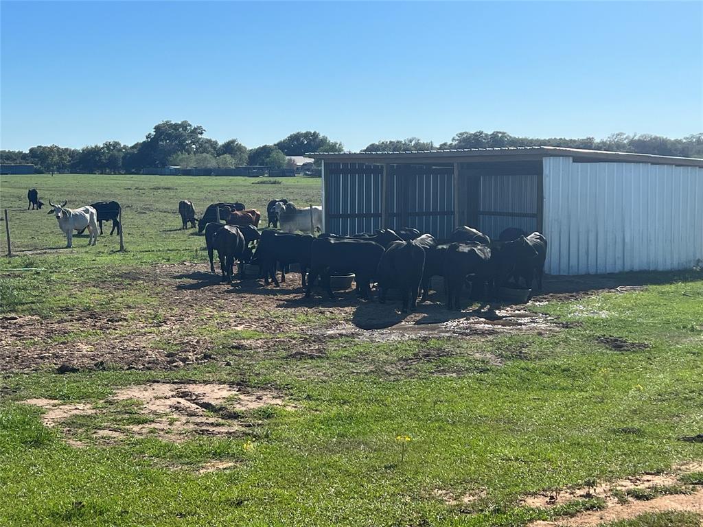 Cattle shelter