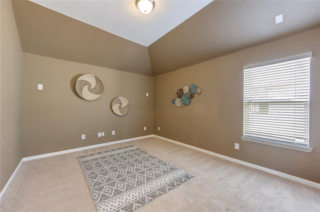 Media, Gaming or Theatre room with plush carpet and angled ceiling.