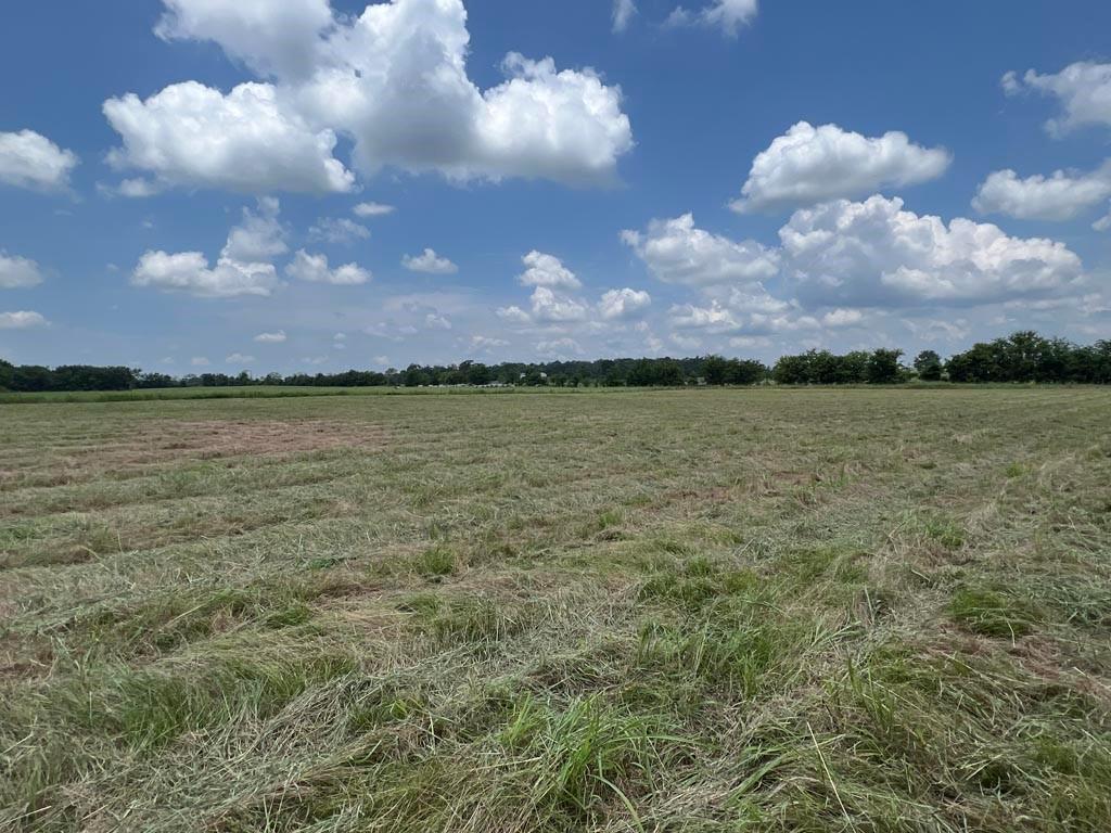 TBD Fm 2562 Road E, Anderson, Texas image 18