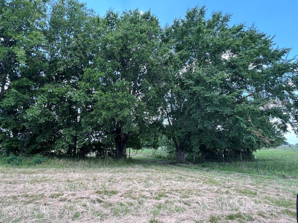 TBD Fm 2562 Road E, Anderson, Texas image 8