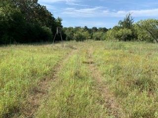 Peter Green Road , Hempstead, Texas image 4