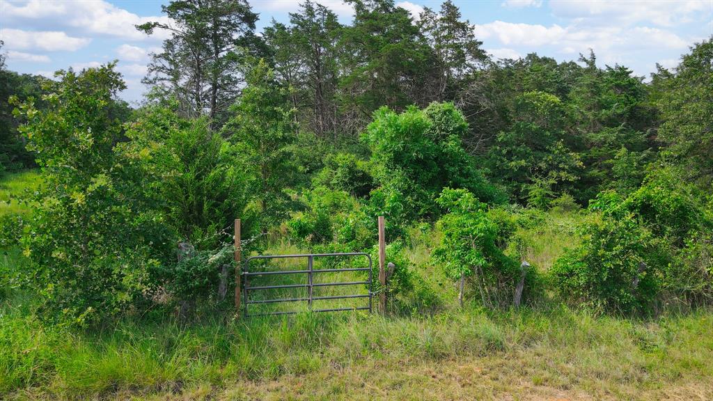 TBD (+/- 4.9 Acres) County Road 310  , Caldwell, Texas image 4