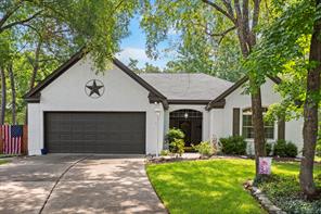 2 Painted Canyon Pl, The Woodlands, TX 77381