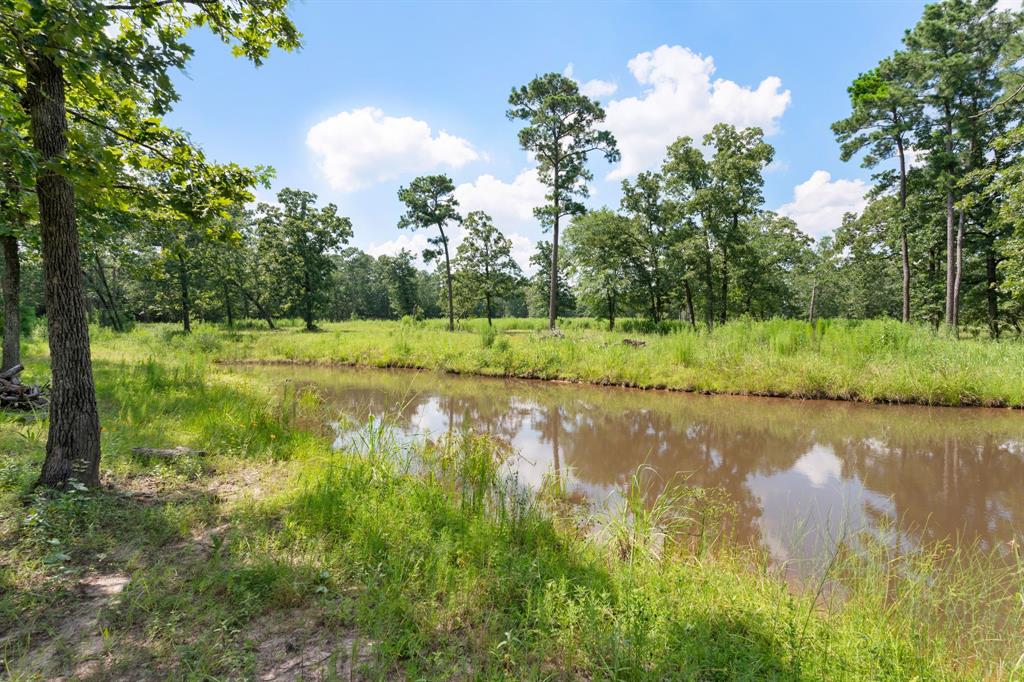 9191 Amelia Drive , Anderson, Texas image 11