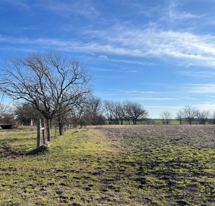 102 Pr 419  , Grandview, Texas image 4