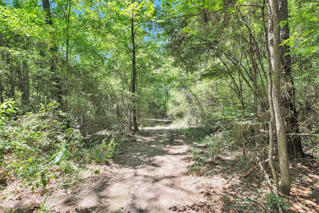 TBD Bill Adams Road , Kennard, Texas image 9