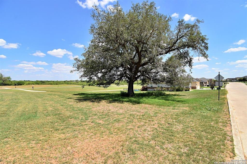 100 Grand View , Floresville, Texas image 20