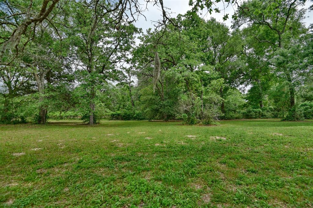 Beautifully cleared pasture on the side of the property - this view is from the little side porch.