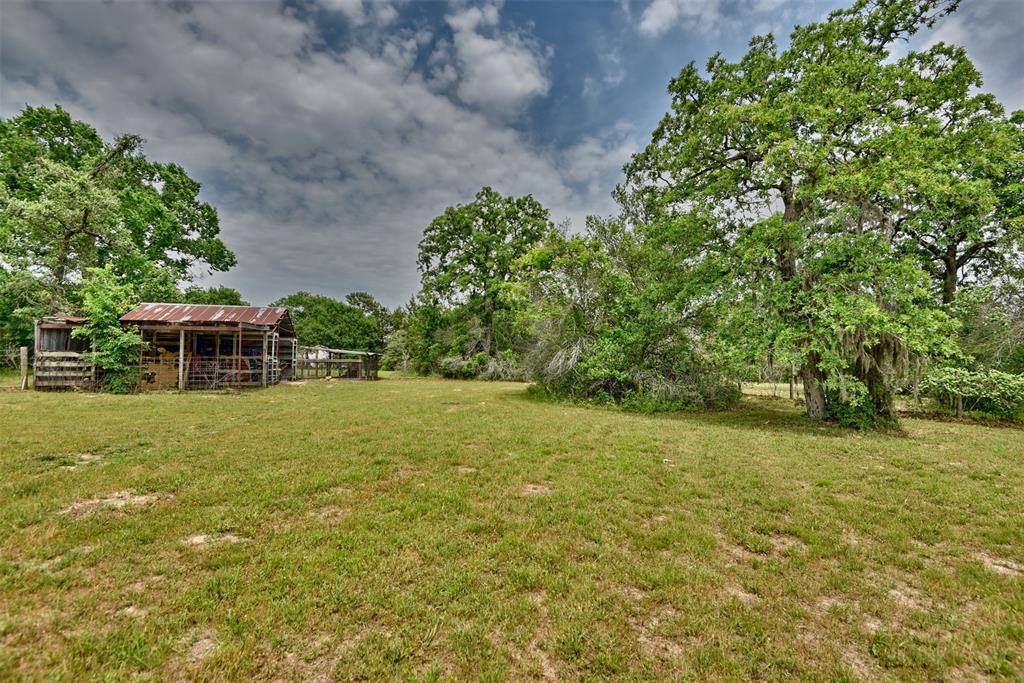 Clusters of gorgeous trees are scattered throughout the property.  Behind the little animal run is another open pasture edged with woods.