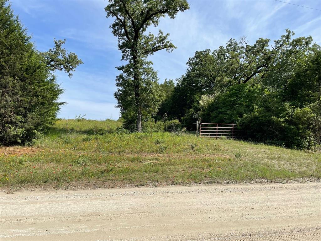 Prairie Street , Normangee, Texas image 8