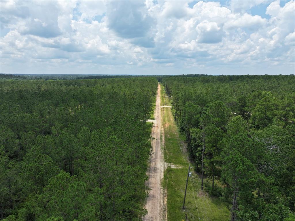 Morrell Road  , Chester, Texas image 10