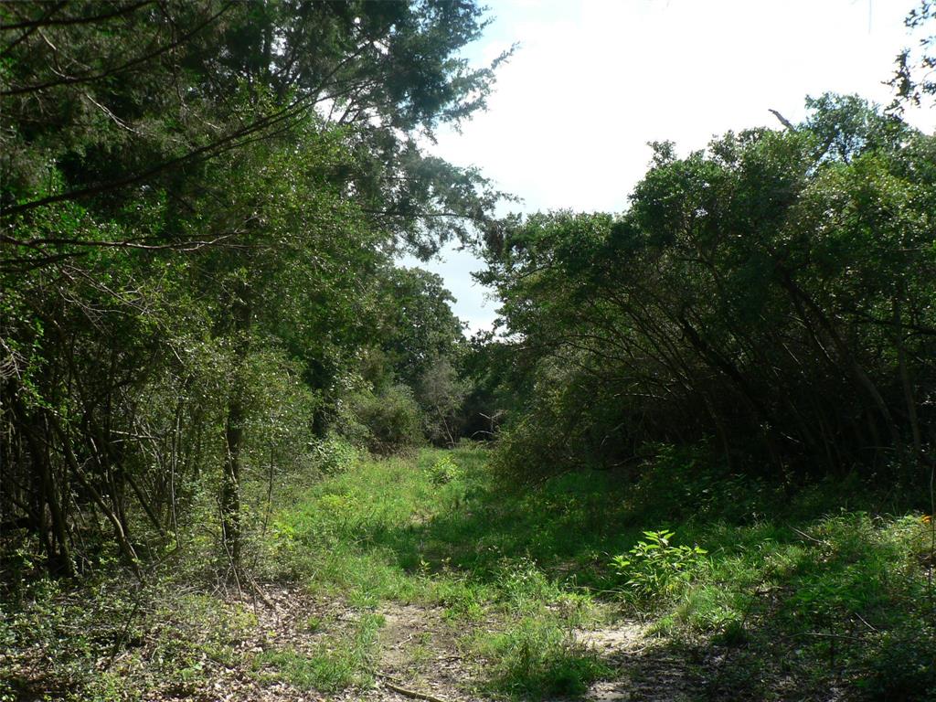 16 foot wide hunting path throughout the property.