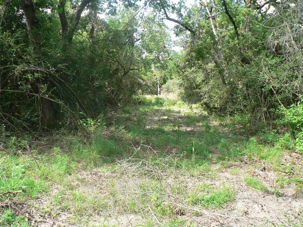 TBD N Pr 4250 N  , Flynn, Texas image 22