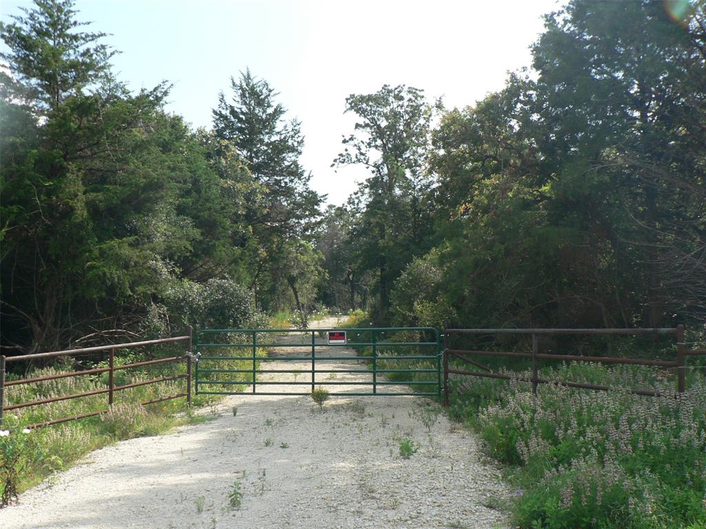 New Fencing and Gate