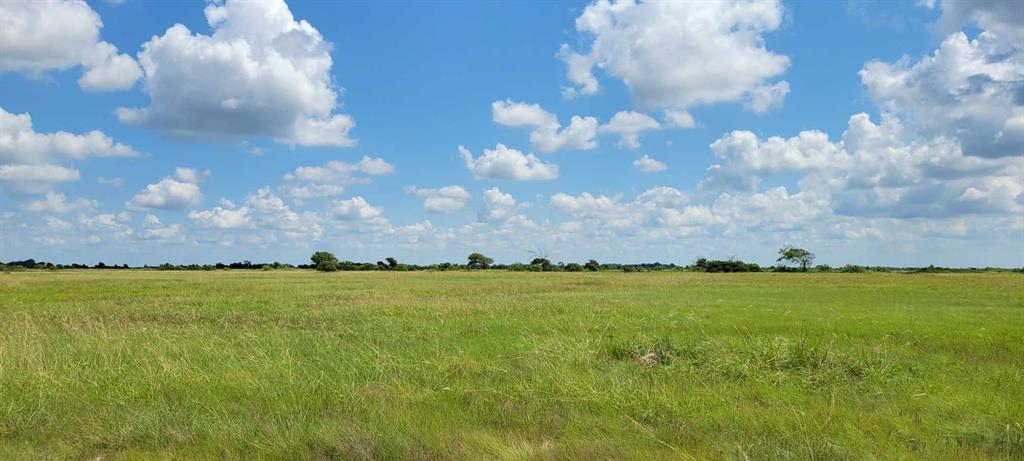 795 Cr  468  , Palacios, Texas image 14