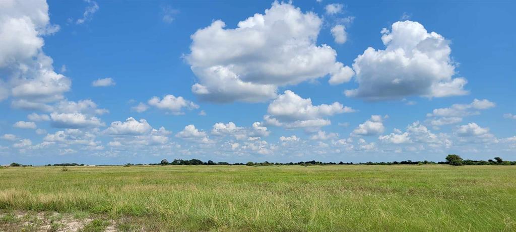 795 Cr  468  , Palacios, Texas image 15