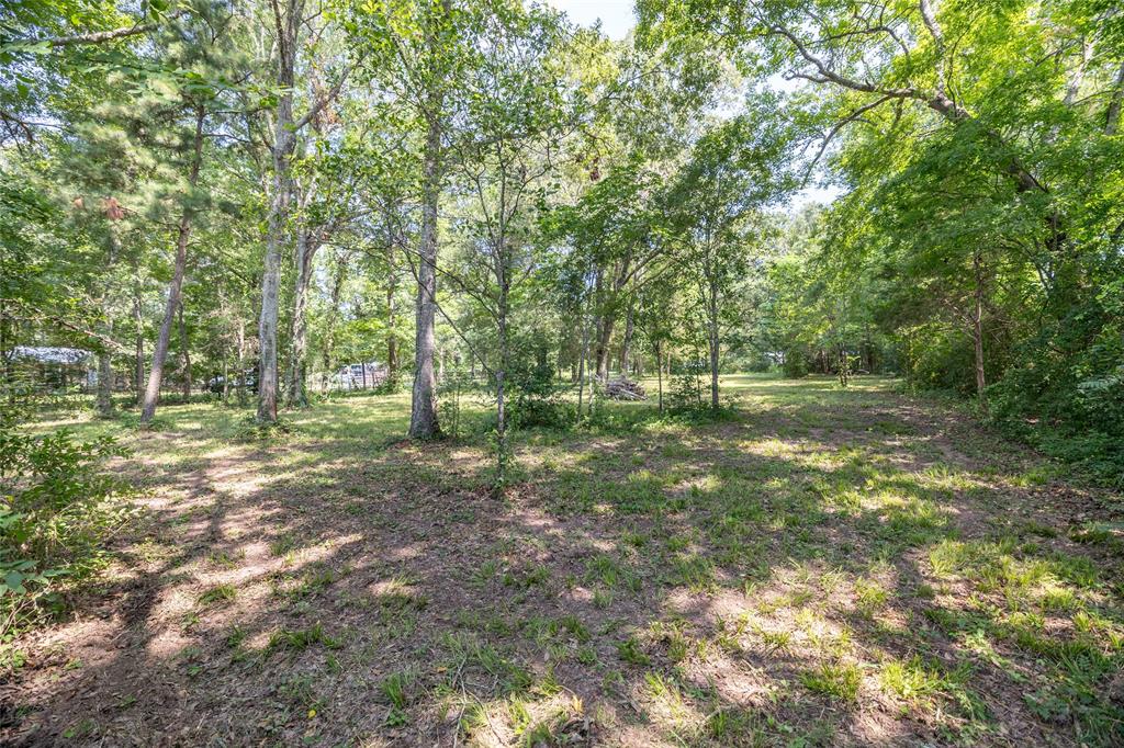 TBD Steele Lane , Coldspring, Texas image 15