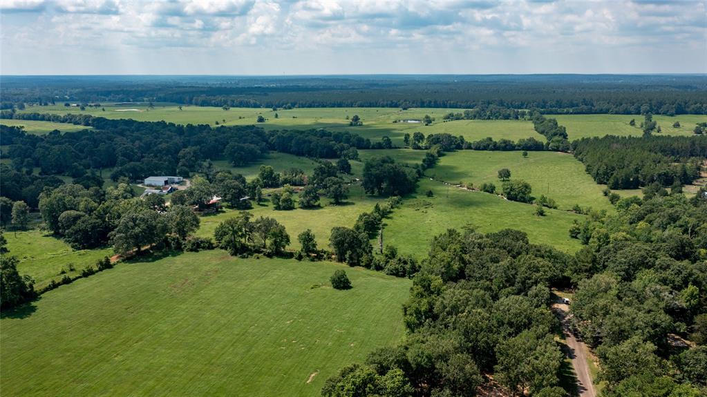 TBD Steele Lane , Coldspring, Texas image 18