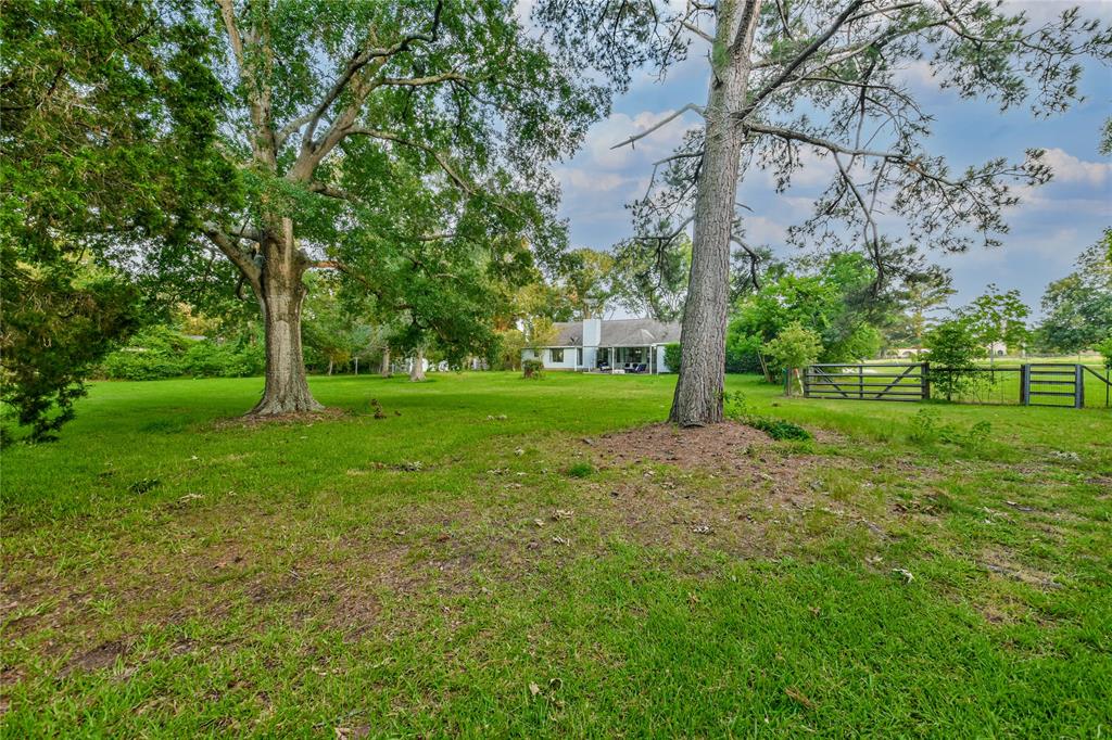 30840 Robinwood Drive , Waller, Texas image 37