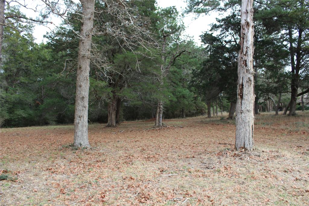 Lot 8 & 9 North Falls Drive , New Ulm, Texas image 11