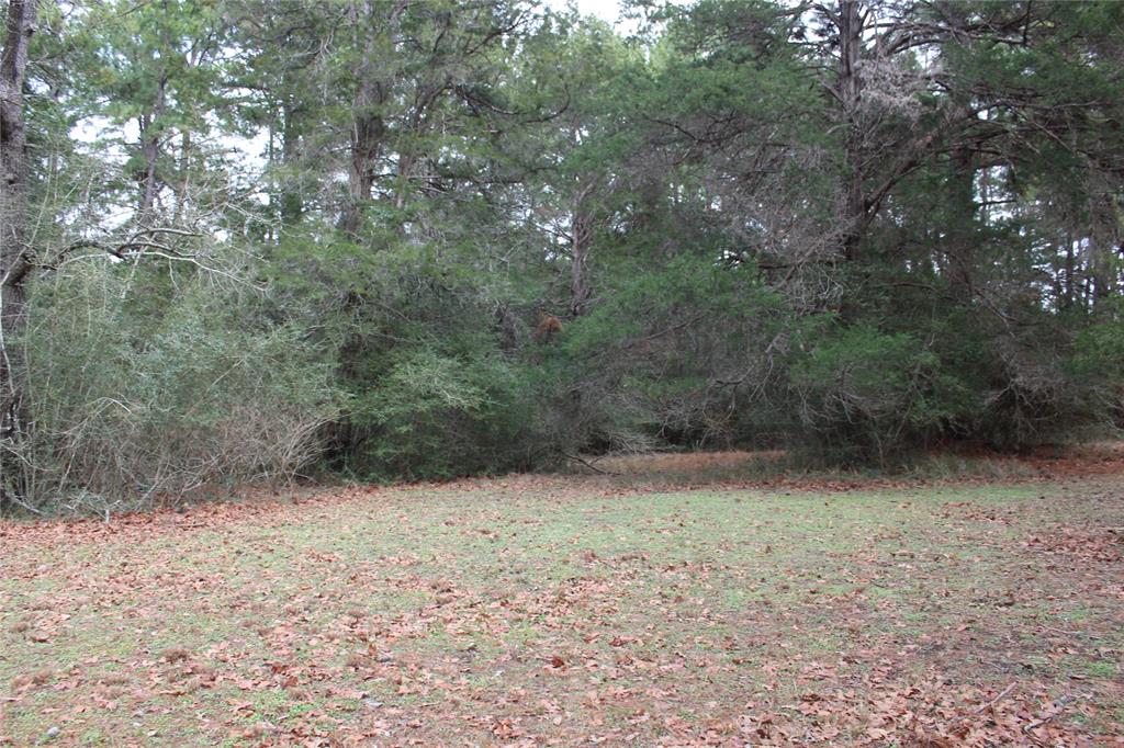 Lot 8 & 9 North Falls Drive , New Ulm, Texas image 12