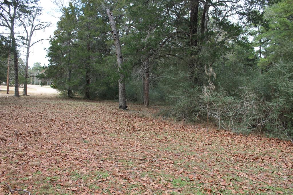 Lot 8 & 9 North Falls Drive , New Ulm, Texas image 13