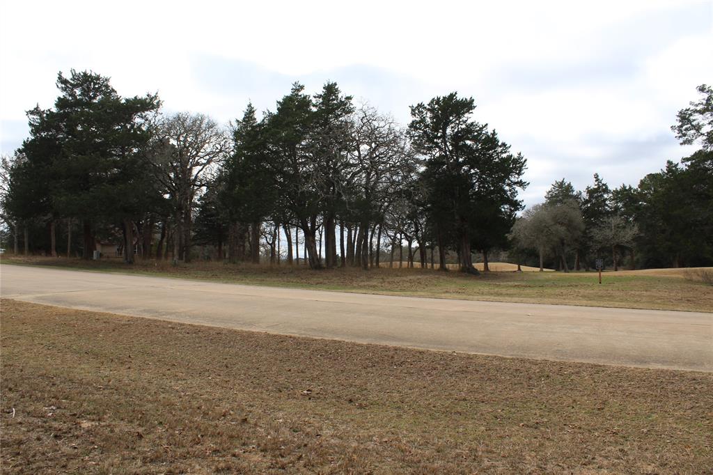 Lot 8 & 9 North Falls Drive , New Ulm, Texas image 10