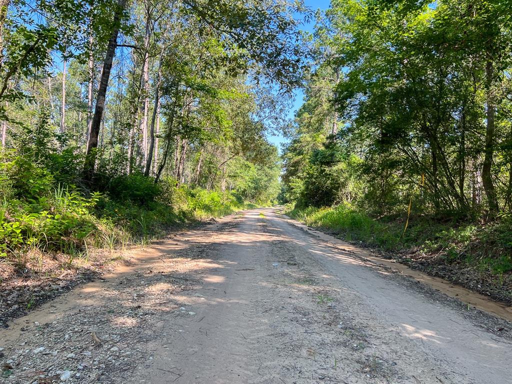 00 Cr 4090  , Lovelady, Texas image 19