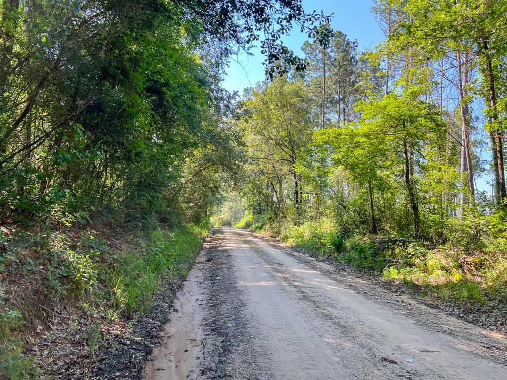 00 Cr 4090  , Lovelady, Texas image 8