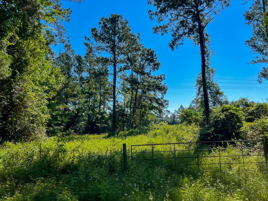 00 Cr 4090  , Lovelady, Texas image 9