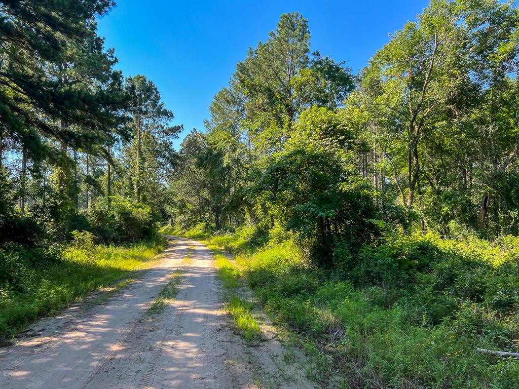 00 Cr 4090  , Lovelady, Texas image 10