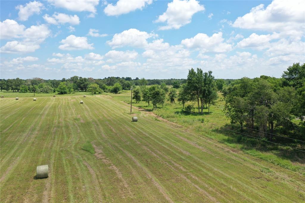 32190 Howell  , Waller, Texas image 8