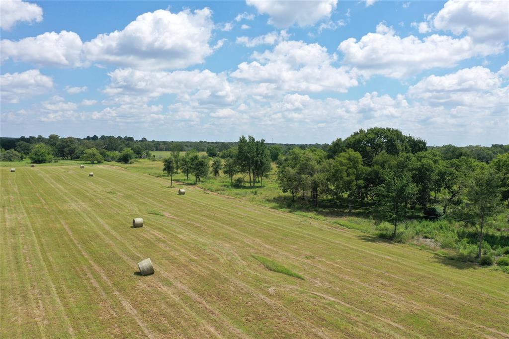 32190 Howell  , Waller, Texas image 9